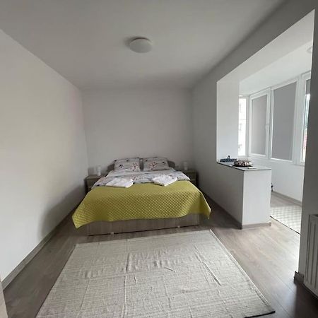 Lady M Apartment Sighisoara Bagian luar foto