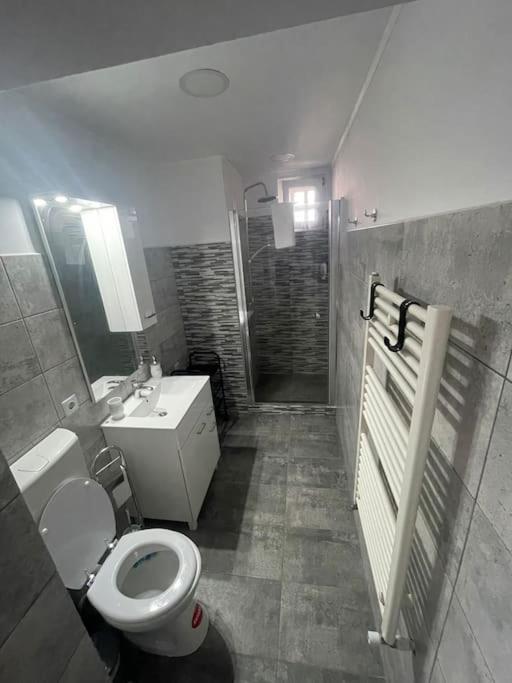 Lady M Apartment Sighisoara Bagian luar foto